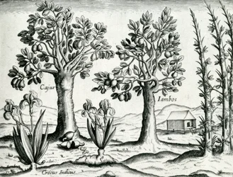 Paisaje, ilustración de 